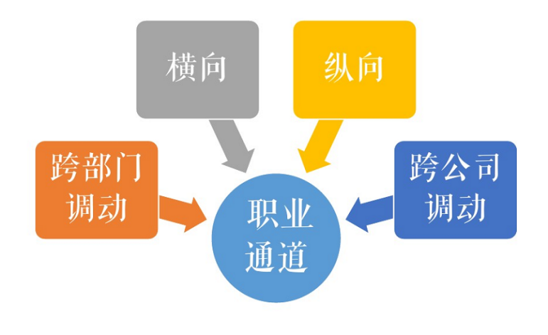 河南五建最新招聘信息全面解析