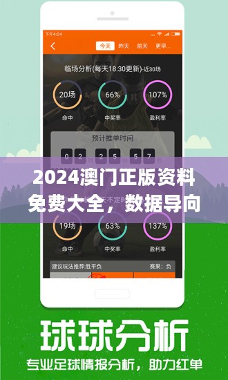 2024澳门最精准正版免费大全,功能性操作方案制定_扩展版40.454